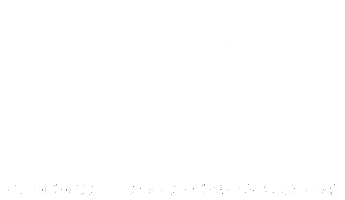 ExS Group logo in white - Exterior Solutions for Home and Business